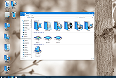With IconPackager
